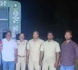 Telangana: Rescued sloth bear released in forest