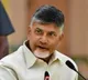 Chandrababu Naidu fires at Akhila Priya and AV Subbareddy