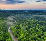 Kids found alive two weeks after a plane crashes in amazon forests in columbia