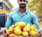 Indians ordered mangoes worth Rs 25 crore on Zepto in April Alphonso topped the list
