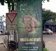 Strange but true! Kerala's killer elephant 'Arikomban' has huge fan base