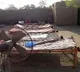 Bihar Man starts fight with wife and kills daughter for trying to end the dispute