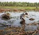 Heavy rain and gayle winds in Annamayya district