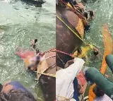 4 dead, several feared missing as boat capsizes in UP