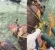 4 dead, several feared missing as boat capsizes in UP