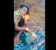 Gruesome Video Of Man Torturing Peacock Viral