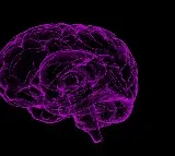 Scientists identify brain signals for chronic pain