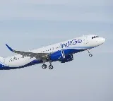 Dubai-bound Indigo flight suffers bird hit, take-off aborted at Mangaluru airport