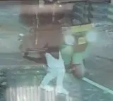 Bengaluru: Auto driver crashes on techie who turned it down for rapido