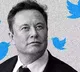 Elon Musk suggests Twitter is more productive after job cuts urges more companies to do the same