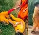 Principal and teacher exchange blows inside school in Bihar