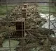 40 crocodiles kill cambodian man as he tries to collect eggs