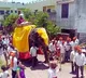 Man celebrate birth of girl child by taking out procession on elephant
