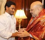 AP CM jagan meets Amit shah