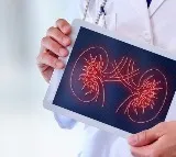 Reasons Why More Women Are Falling Prey To Kidney Problems