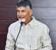 North Corolina state announced Telugu Heritage Week