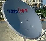 Subscribers back on the DTH pitch all thanks to IPL
