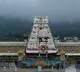 Tirumala darshan information