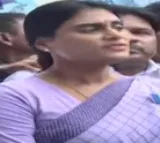 YS Sharmila on alliance with BRS in next election