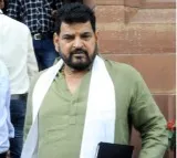 Minor wrestler sexually harassed multiple times by WFI chief, claims FIR