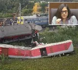there has been some issue with the signalling railway board on odisha train accident