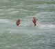 Four children died in Krishna river at Mangampet