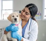 Cargill launches pet health focused digital platform, Zoonivet