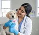Cargill launches pet health focused digital platform, Zoonivet