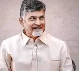 Chandrababu says TDP will win telangana in coming years