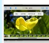 Apple iOS 17 offers new 'Look up' option in image cutout feature