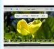 Apple iOS 17 offers new 'Look up' option in image cutout feature
