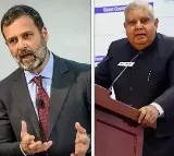 VP Dhankhar retorts Rahul gandhi On his rearview mirror jibe