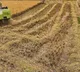 Centre Approves MSP For Kharif Crops For Current Year