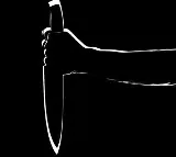 Woman cuts off boyfriends genitals in hotel room