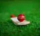 Pakistan former cricketer alleges Aussies players tampers the ball in WTC Final