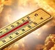 Highest Temperature Recorded In Telangana Districts