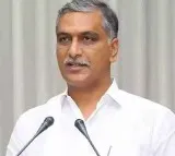 Harish Rao comments on AP leaders
