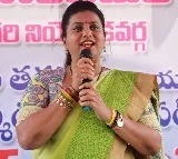Roja reacts to TDP criticism