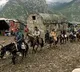 Samosa, jalebi, pizza, burger & more banned during Amarnath Yatra 2023
