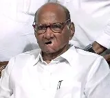 Sharad Pawar Explains Why Nephew Ajit Pawar Didnot Get Any Party Post