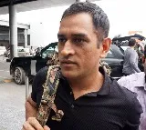 Madras HC to hear Dhoni's contempt of court case against IPS officer