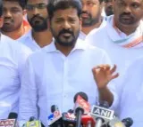 Revanth Reddy on Dharani lands