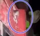 Monkey came to theatre to watch Adipurush movie