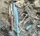 Archaeologists Discover  3000 Year Old Sword In Germany