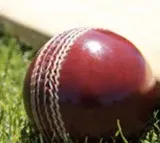12 Year Old English Cricketer Hogs Limelight