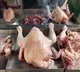 Chicken prices went high