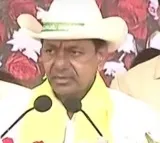 Telangana CM KCR inaugurate sapling plantation fest Monday part of Harithotsavam