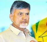 Chandra babu fires on ys Jagan