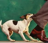 There is a dangerous connection between your dog and climate change