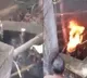 Villagers rescue leopard from well with fire jugaad in viral video